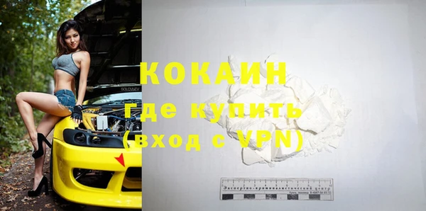 СК Ельня