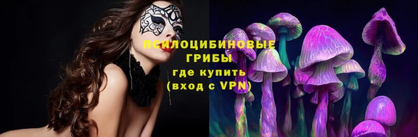 СК Ельня