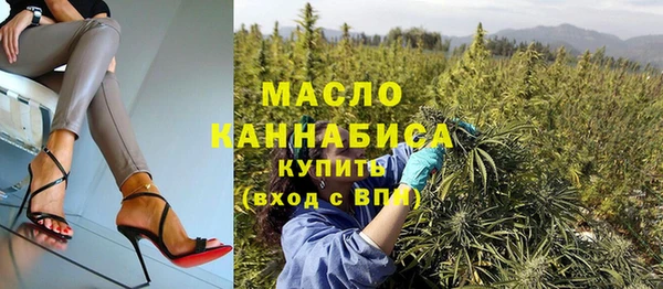 СК Ельня