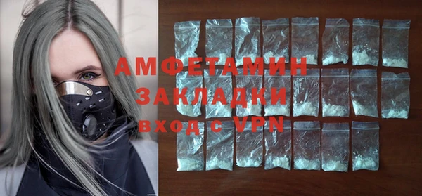 СК Ельня