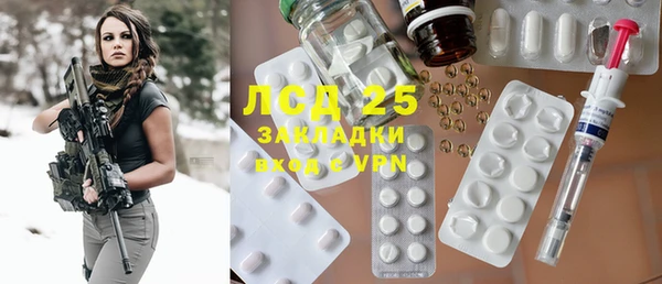 СК Ельня