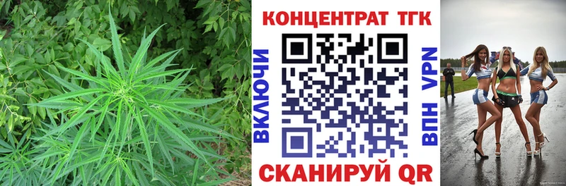 что такое   Назрань  ТГК Wax 