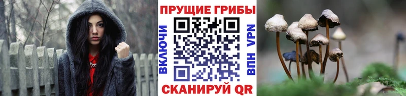 Галлюциногенные грибы MAGIC MUSHROOMS  Назрань 